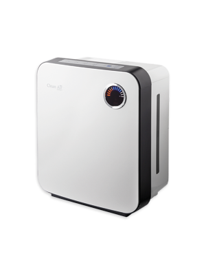 humidifier for dry air
