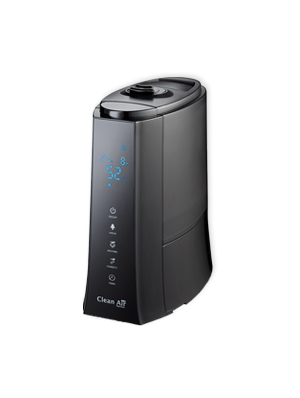 humidifier for dry air