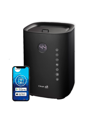 humidifier for dry air