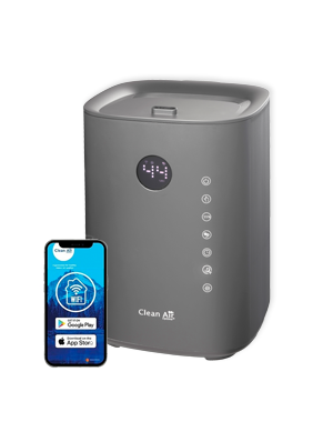 humidifier for dry air