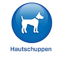DE - 2022 - BS5.6 - Huidschilfers (.de)