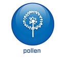 DE - 2022 - BS5.4 - Pollen (.de)