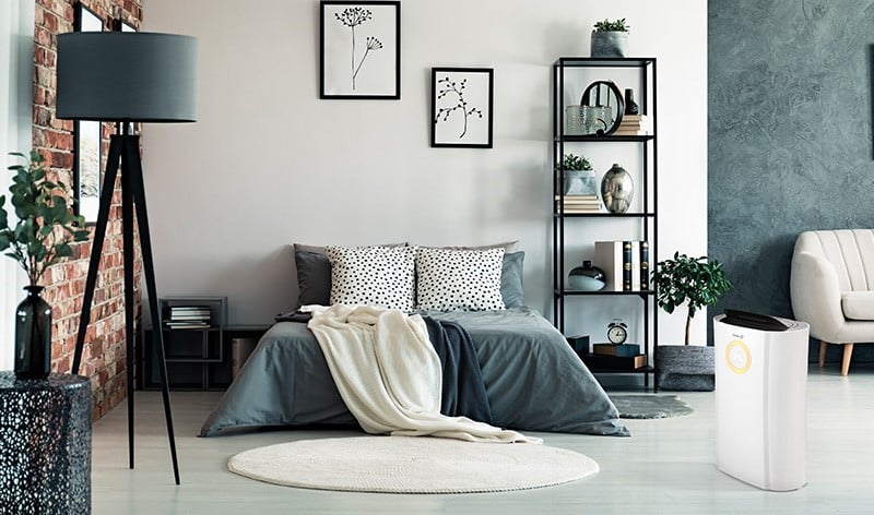 Mit einem Luftentfeuchter Schimmel vorbeugen